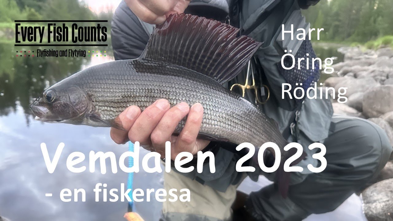 Vemdalen 2023 - en fiskeresa