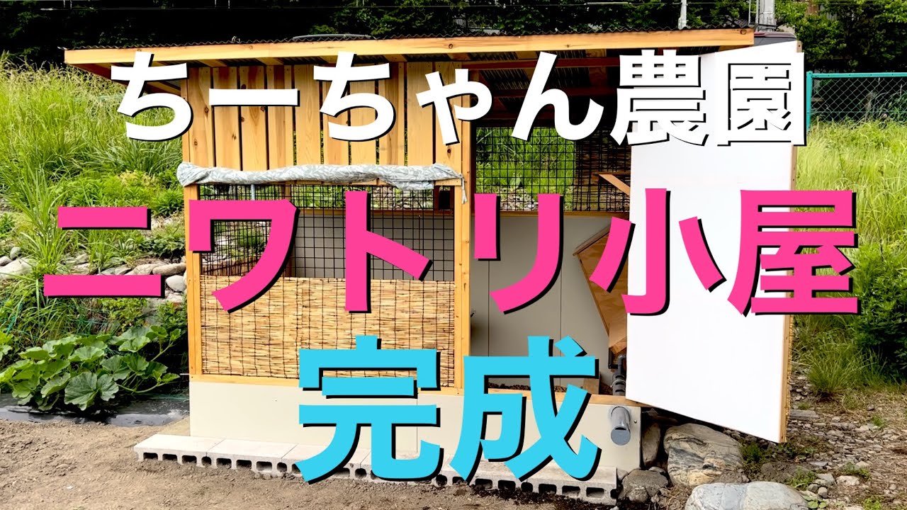 No.10【DIY】ニワトリ小屋 完成!! ちーちゃん農園 鶏小屋