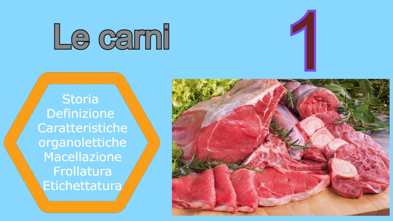Le carni - Lezione 1