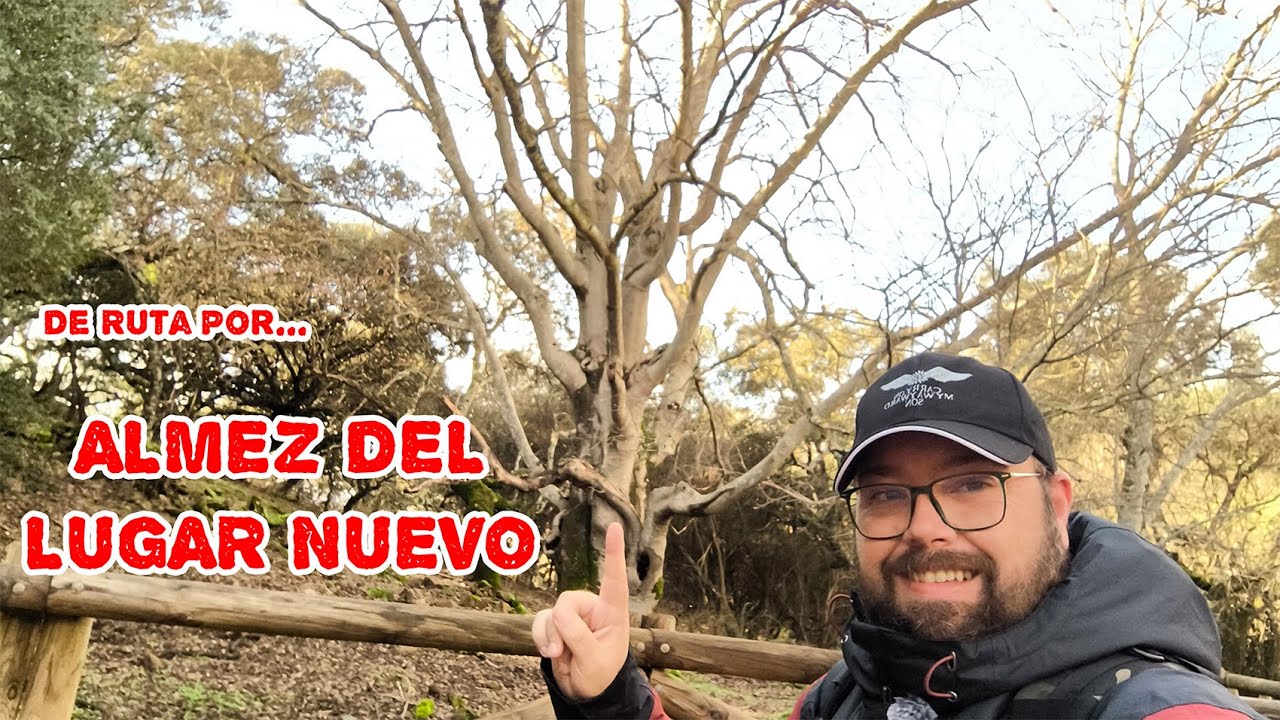 Ruta Corta Árbol Singular Almez del Lugar Nuevo 🌳 | Senderismo Fácil Itinerario Amarillo Monfragüe