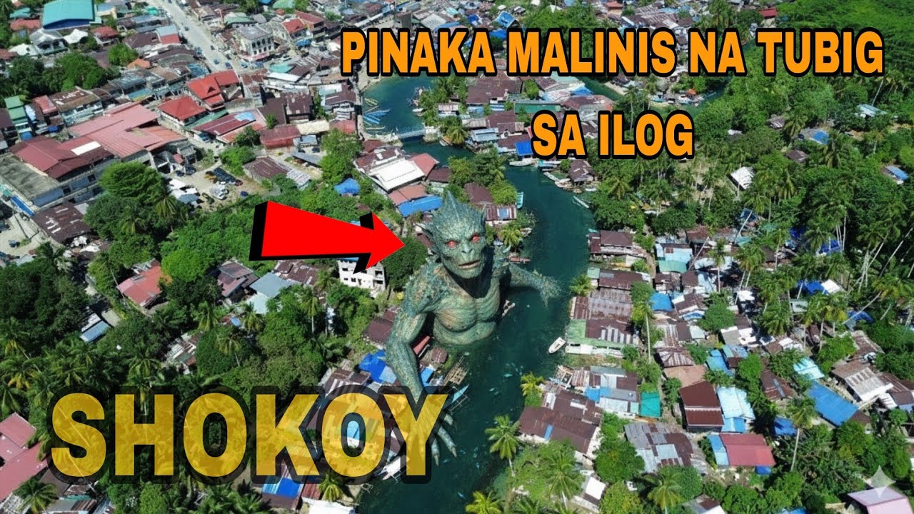 MGA BAHAY NA NAKALUTANG SA TUBIG||BINABANTAYAN PALA NG ISANG NILALANG