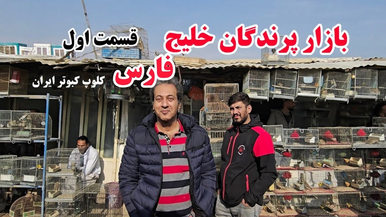 ❤️ گزارش شماره ۱ 