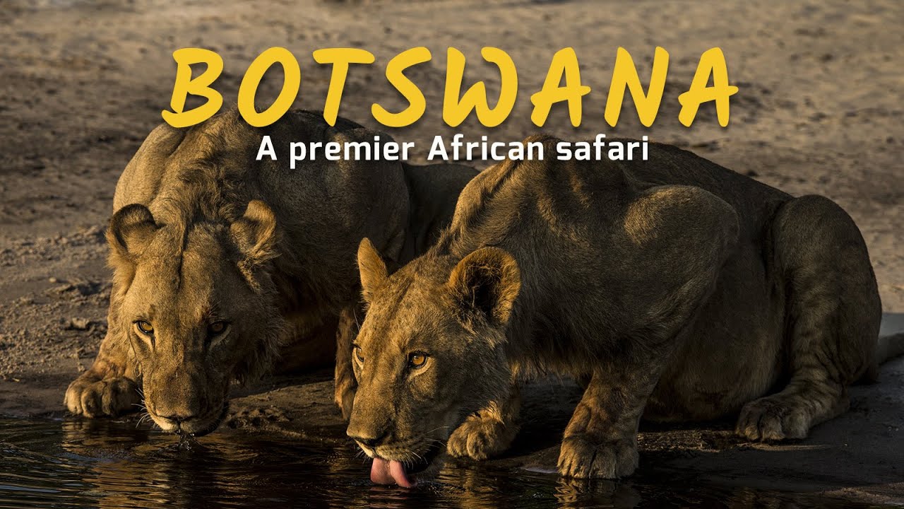 Botswana - A premier African safari - Duba Plains & Selinda