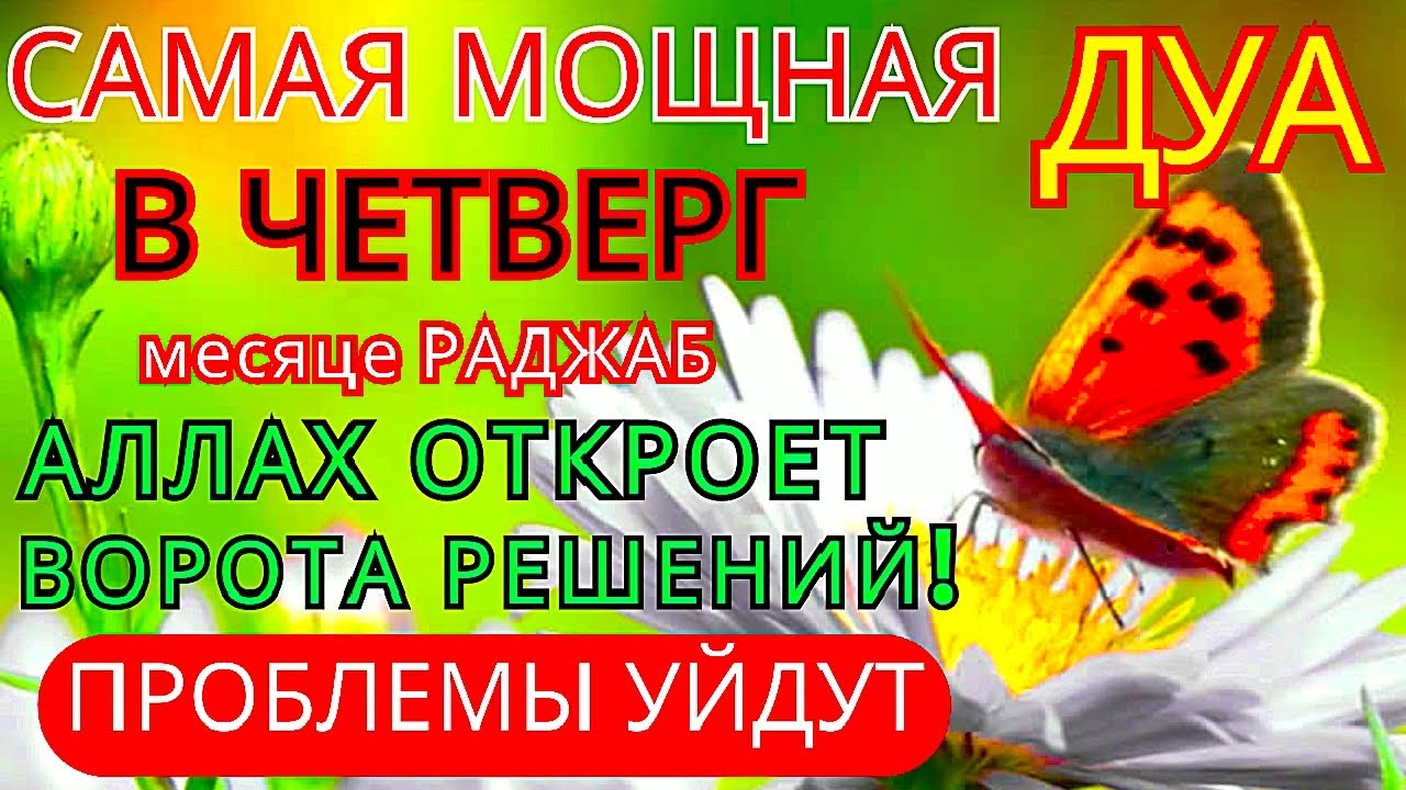 ✨СУРА КАХФ КАЖДУЮ В ЧЕТВЕРГ ЧИТАЙТЕ СЛУШАЙТЕ В МЕСЯЦА Рабиуль-Ахир #суракахф #ЧитайКоран