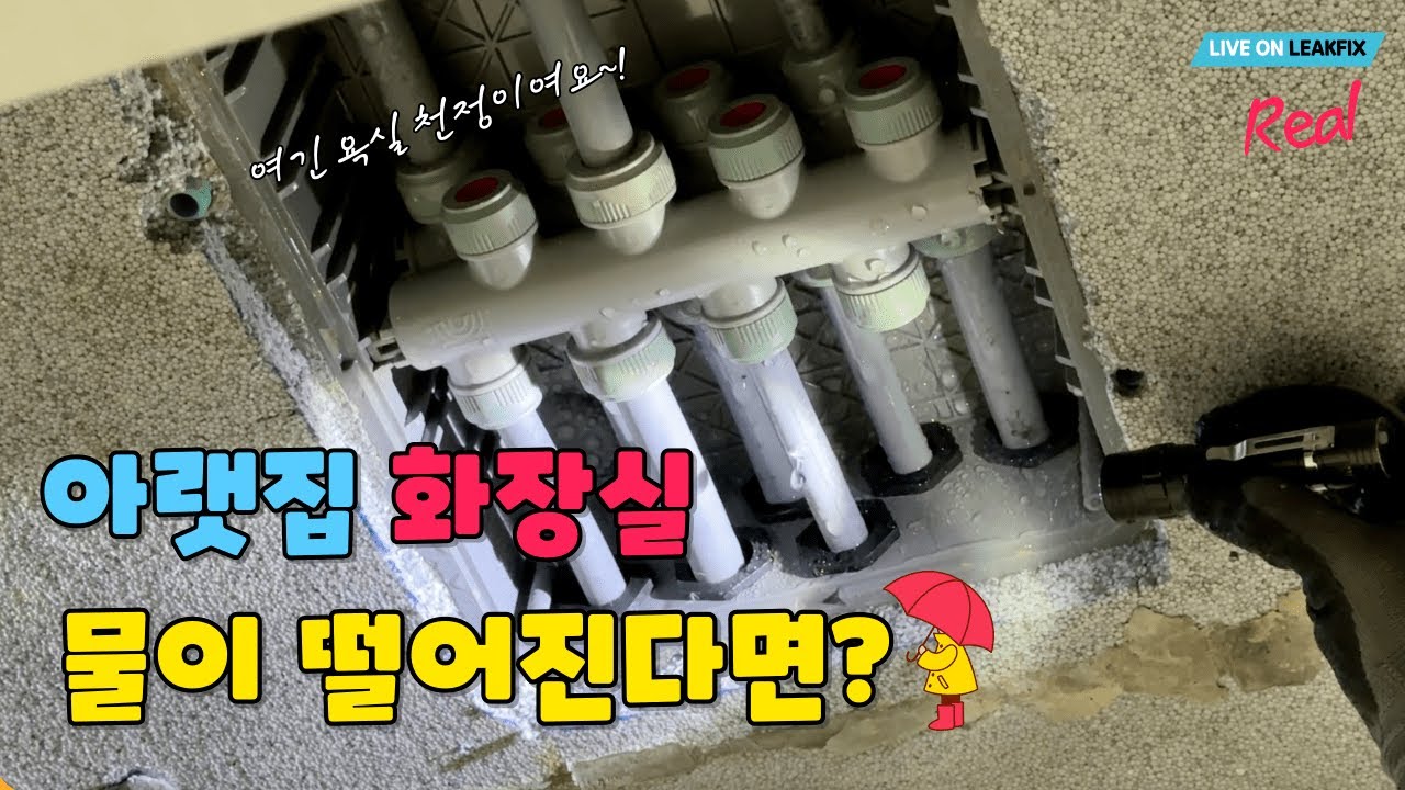 &ldquo;영월 아파트 화장실 천장 누수, 알고 보니 이중배관+분배기 복합 누수&rdquo;