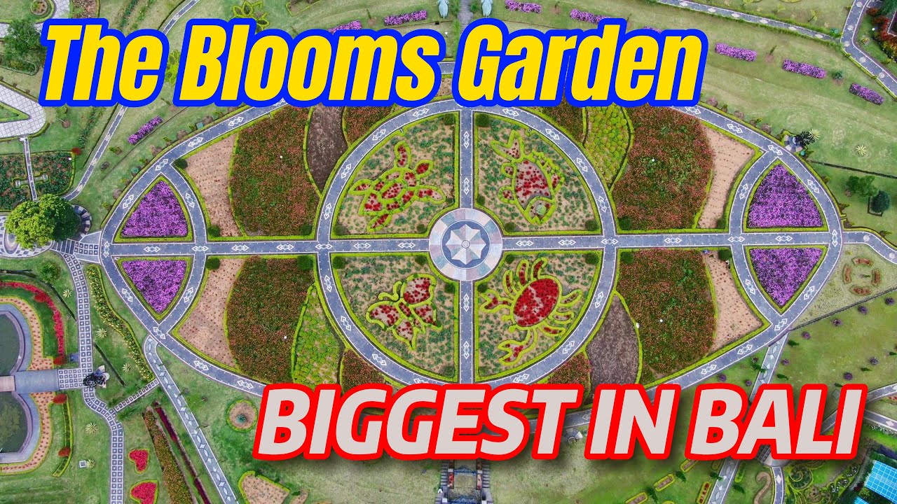 Lets Go The Blooms Garden Bali Indonesia video 4K