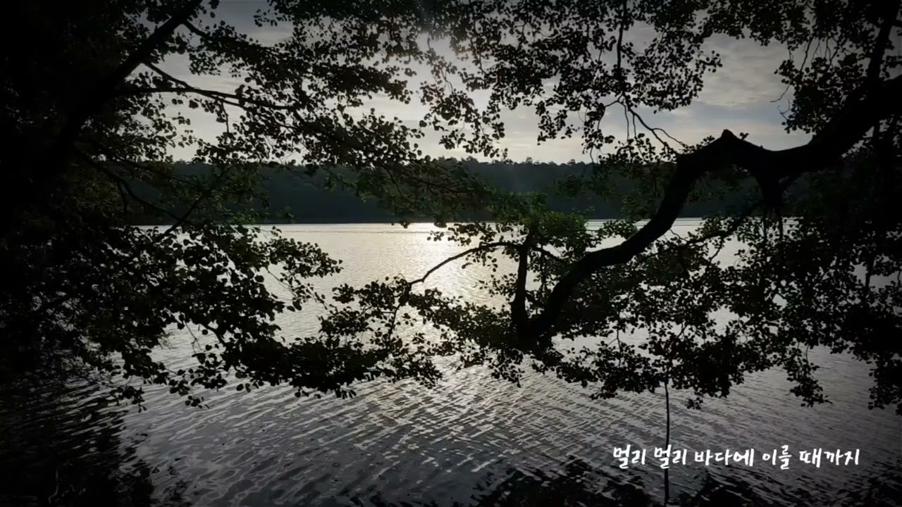 [Music] 나는 강이 되리니 - 범능스님 (고규태 시)