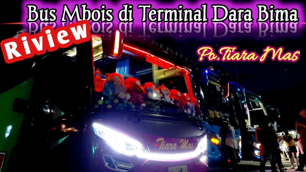 Bus Mbois di Terminal Dara Bima || seperti apa bus nya?
