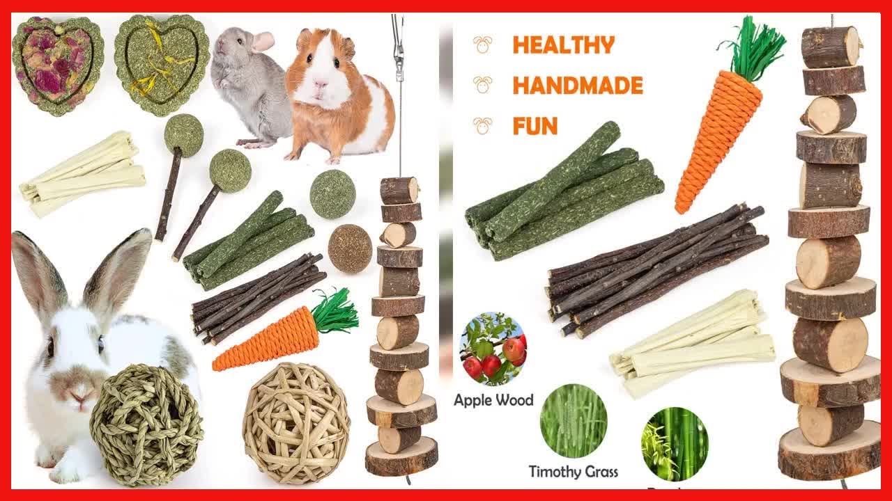 Sofier Rabbit Toys Bunny Toys Guinea Pig Toys Natural Timothy Hay Sticks Hamster Toys for Teeth Hand