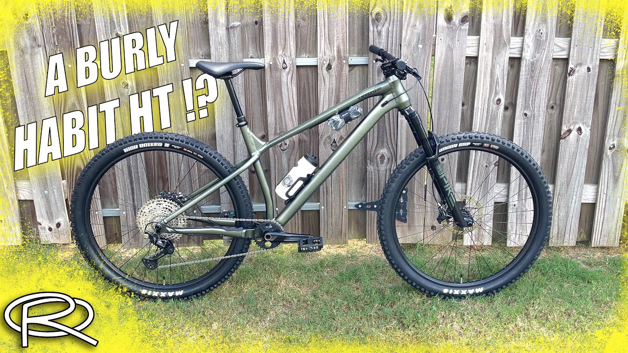 Burly cannondale HABIT HT build! (Only to sell it !?)