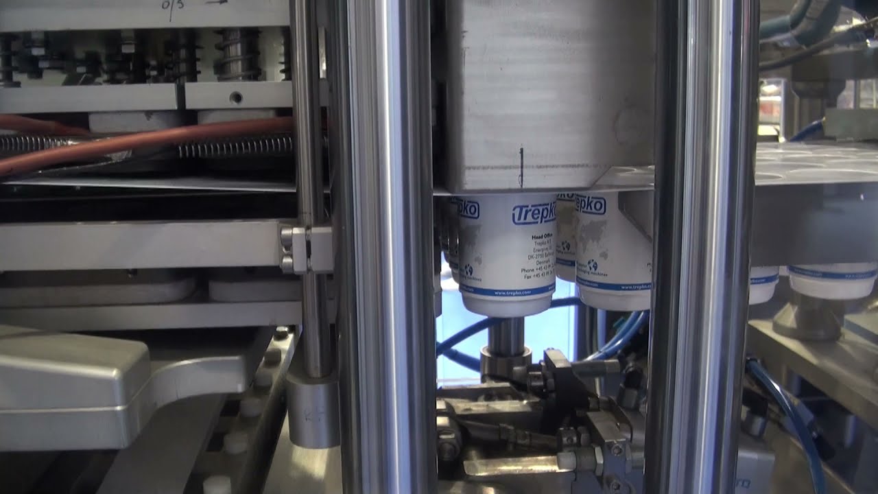 Trepko 9100 series Form, Fill & Sealing Machine