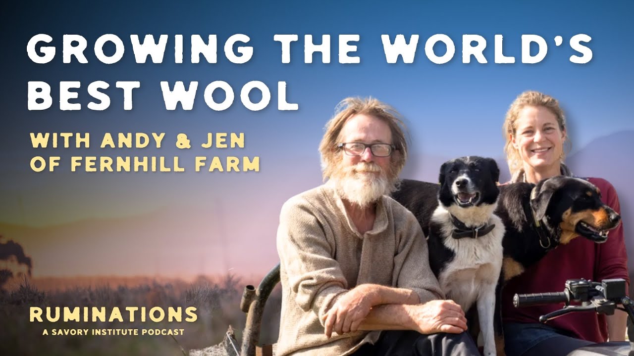 UK Sheep Farmers of the Year: Fernhill Farm