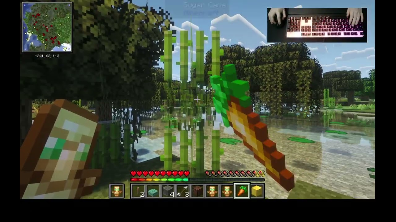 Minecraft Randomizer