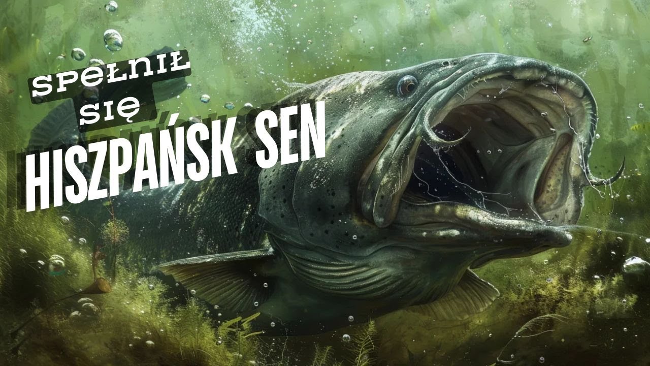 Spełnił się Hiszpański Sen🔥🔥🔥