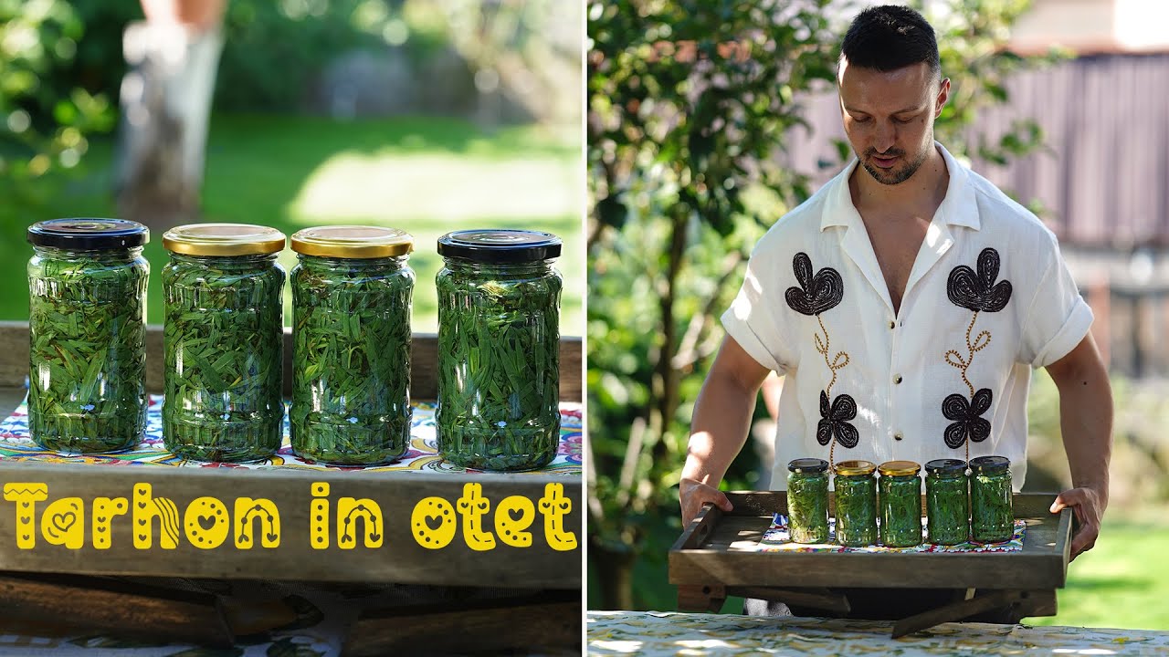 Tarhon la borcan, simplu și curat | Fără sare, doar cu oțet, aromă de casă