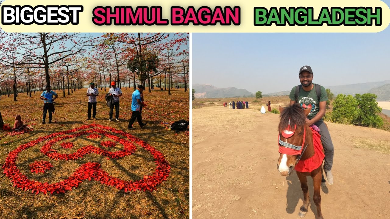 BIGGEST SHIMUL BAGAN in BANGLADESH | Day tour Sunamganj | Niladri Lake | Bangladesh India Border