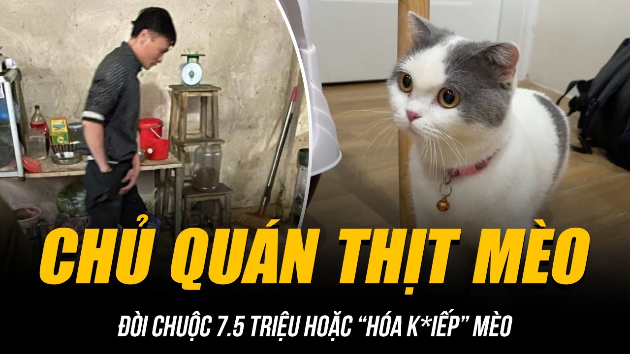 CHỦ QUÁN THỊT MÈO ĐÒI CHUỘC 7.5 TRIỆU HOẶC “HÓA K*IẾP” MÈO | CÓ THỂ CẤU THÀNH T*ỘI HÌNH SỰ?