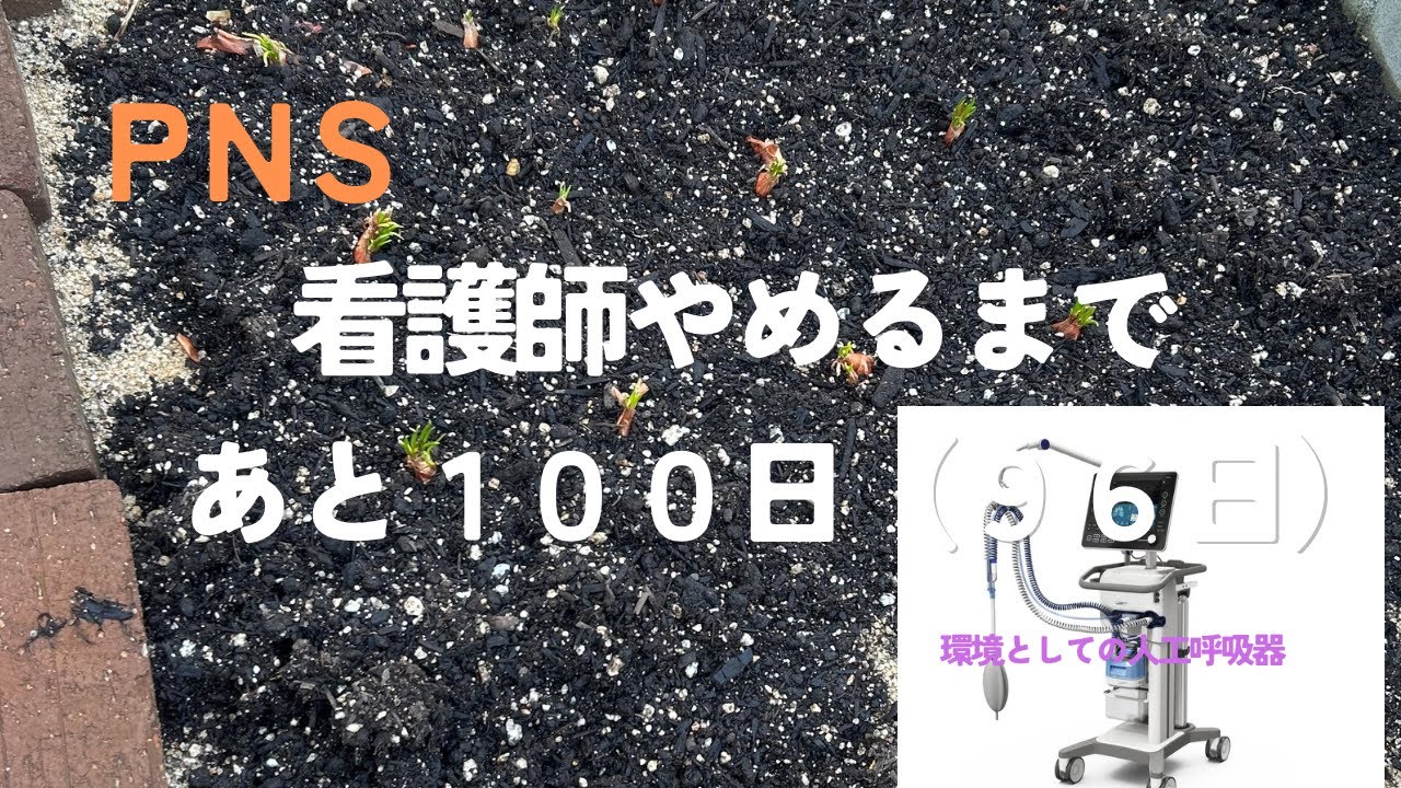 看護師やめるまで　あと100日(96日)