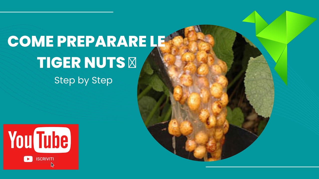 Come preparare le Tiger Nuts 🥜 Step By Step......