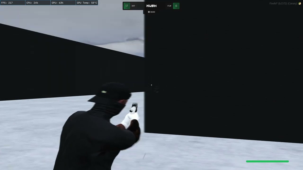 fivem montage wasd