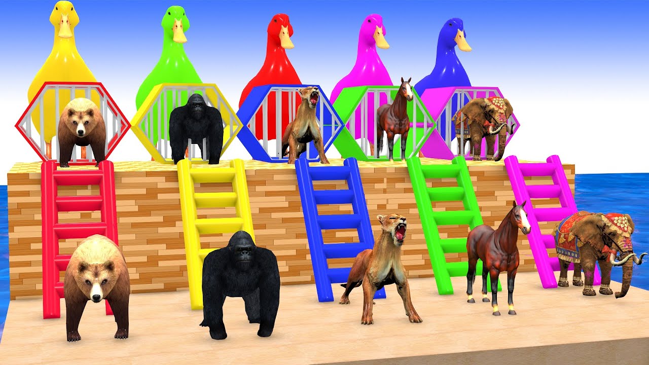 Long Slide Game with Cow Elephant Gorilla Hippopotamus Tiger 3d Animal Game Funny 3d Animals