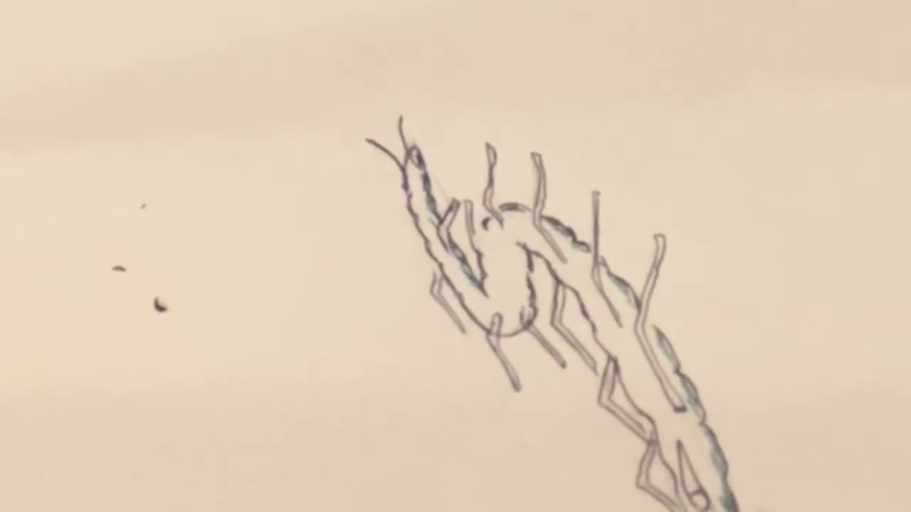 Encounter creation