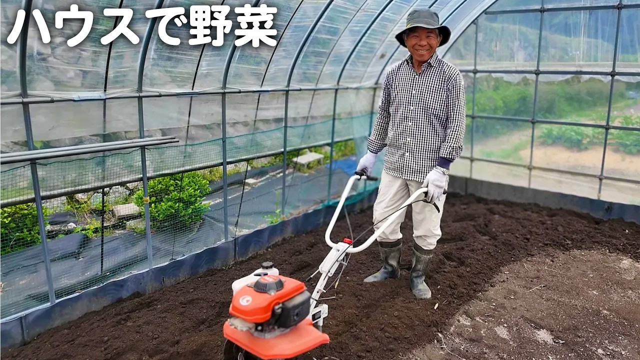 田植えを終えたのでビニールハウス内に野菜を植えました！【山口県田舎暮らしvlog】