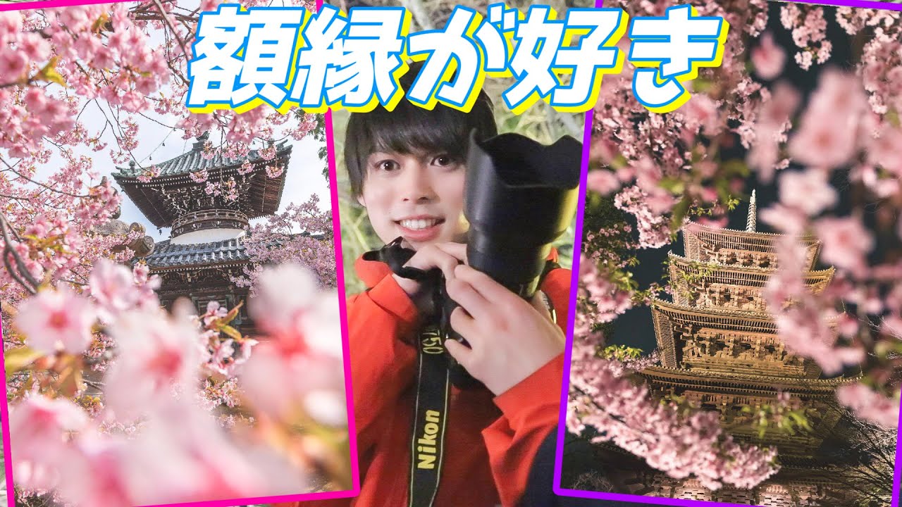 【額縁構図】桜の季節がやってきた！桜の簡単な撮影方法！