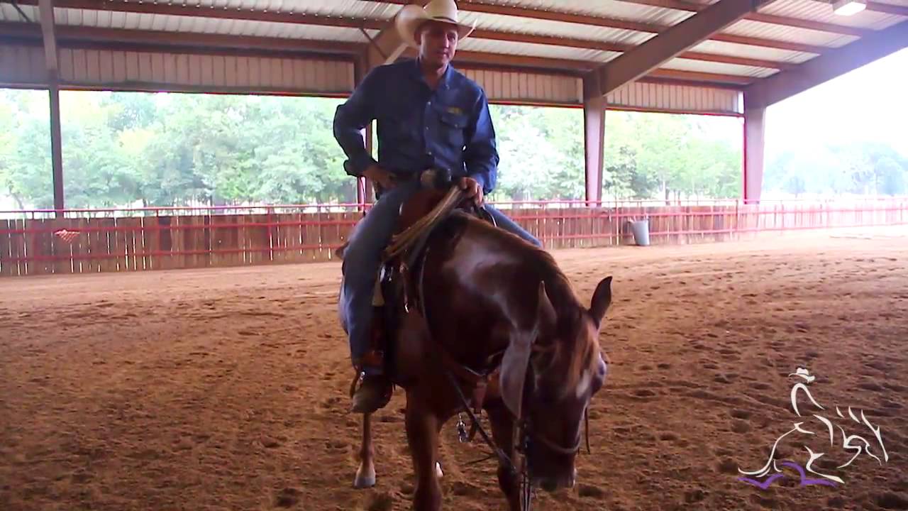 Horse Training - Rewarding Your Horse with Mozaun McKibben