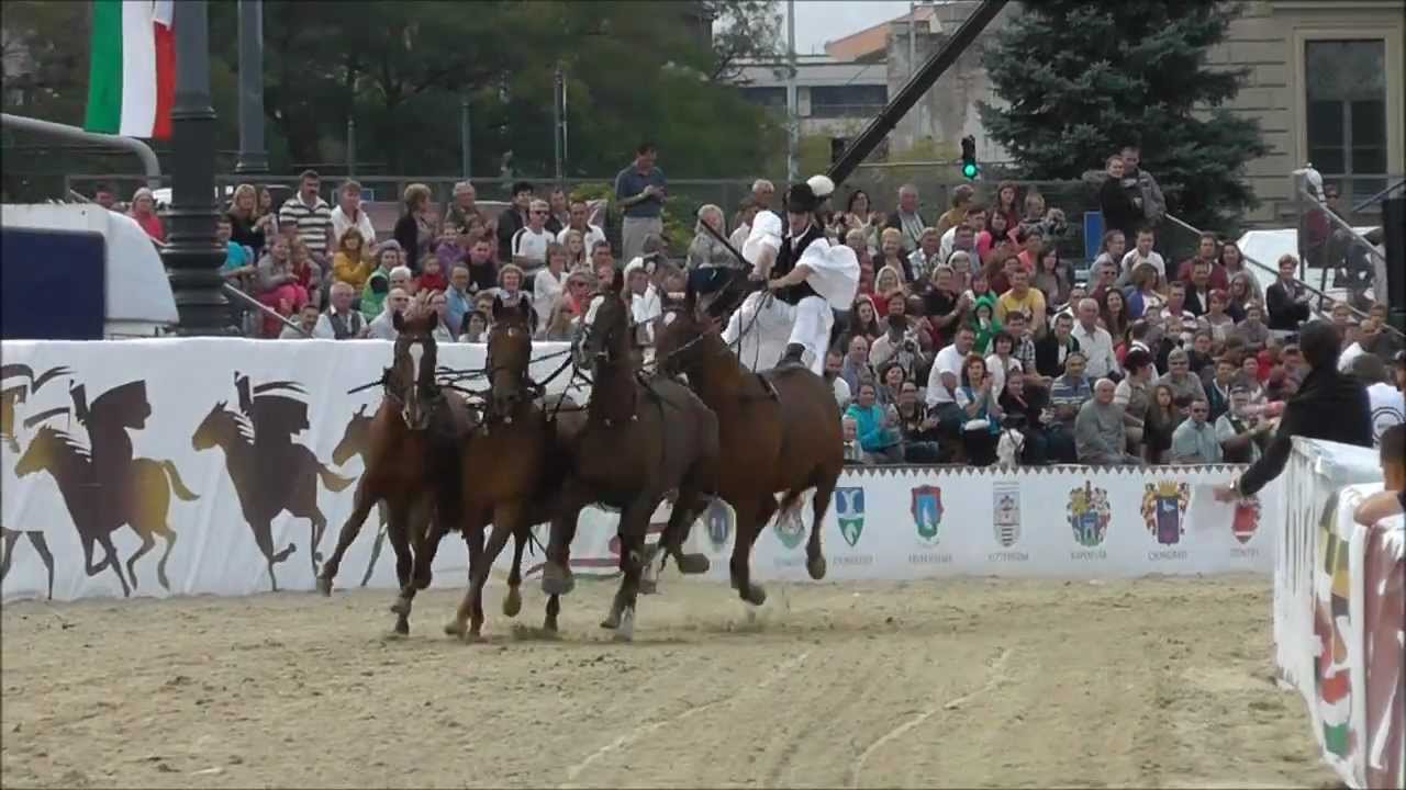 Nemzeti Vágta 2012 - Pusztaötös