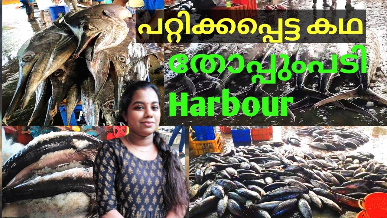 തോപ്പുംപടി ഹാർബർ കാണാം/ Kochi Thoppumpady Harbour|