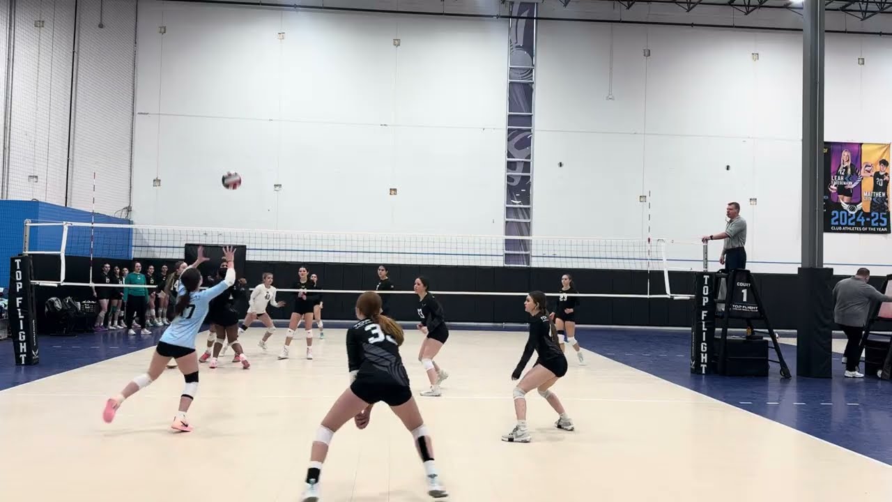 Mod 15U Blue