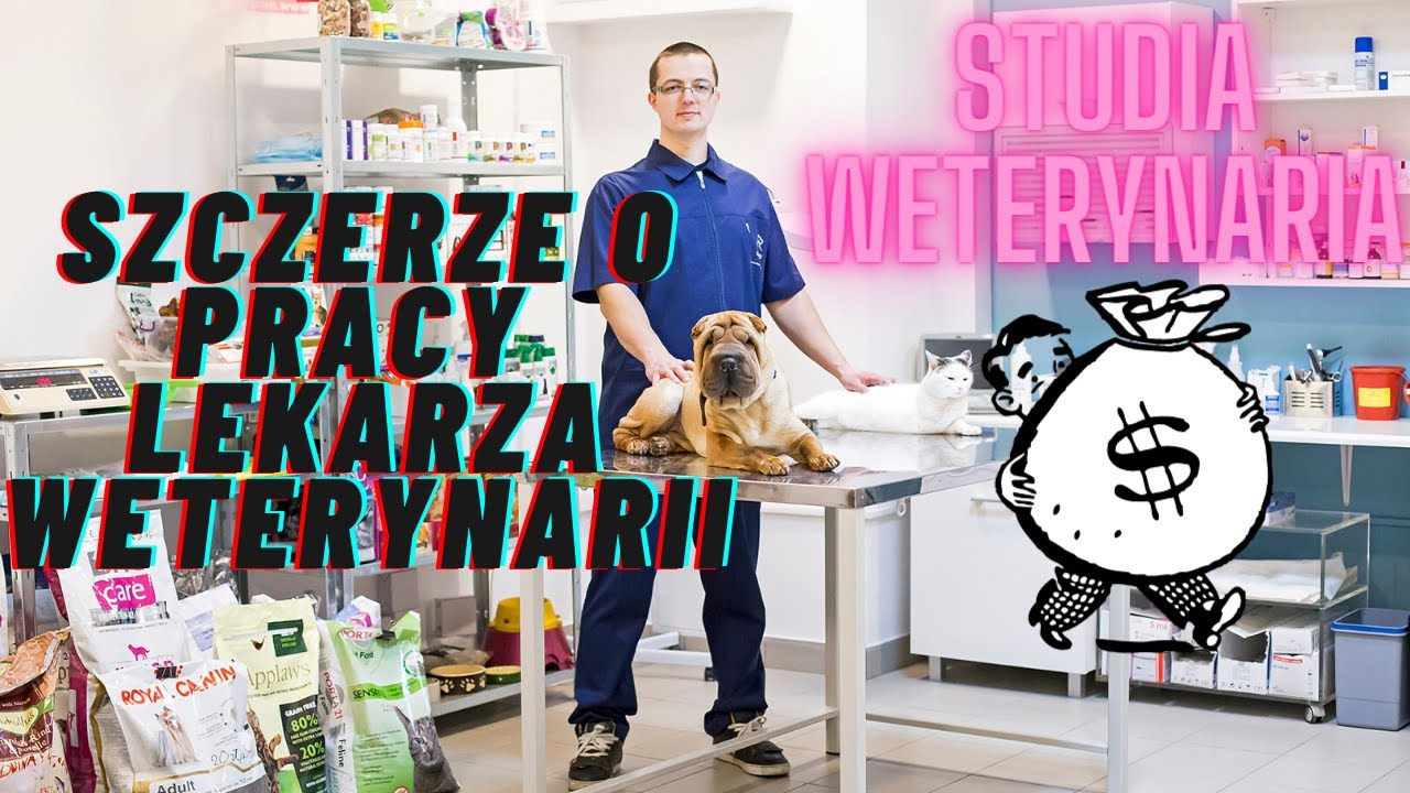 PRACA I STUDIA WETERYNARYJNE BEZ ŚCIEMY (PRACA OD 6:53 MIN)