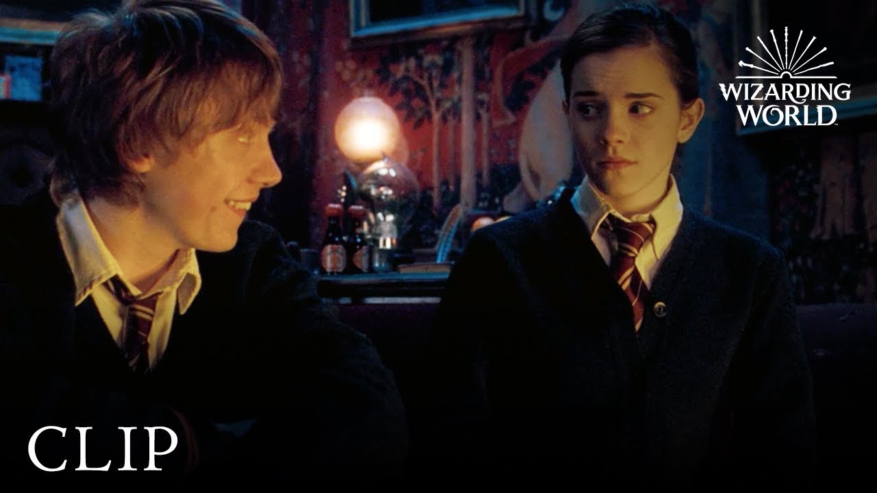 Emotional Range of a Teaspoon | Harry Potter and the Order of the Phoenix