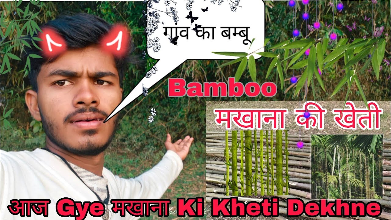 Challenge Ka 23 Day's✅ Aaj Gaye मखाना की खेती Dekhne अभी तैयारी ही हो रहा है| Satya Yadav 013 Vlogs 