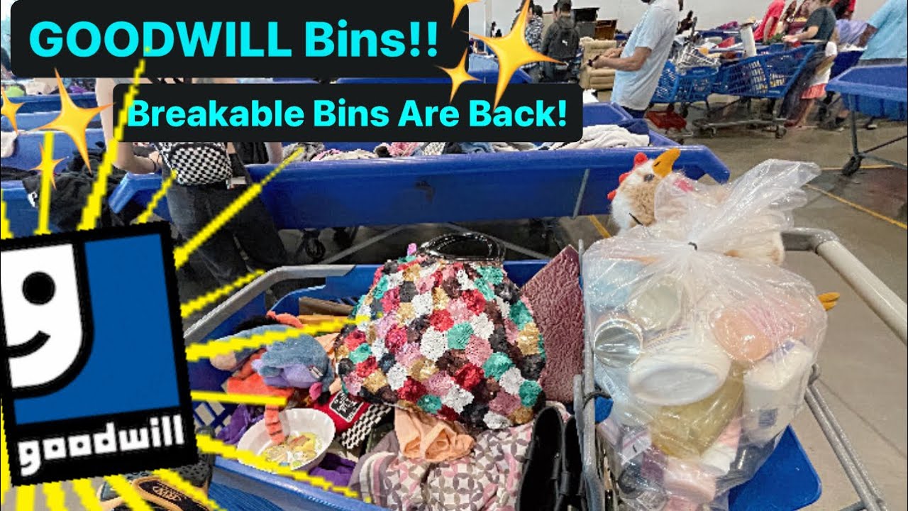 Let’s Go To Goodwill Bins! I Made A Mistake! 😢& Breakable Bins Are Back! Thrift With Me