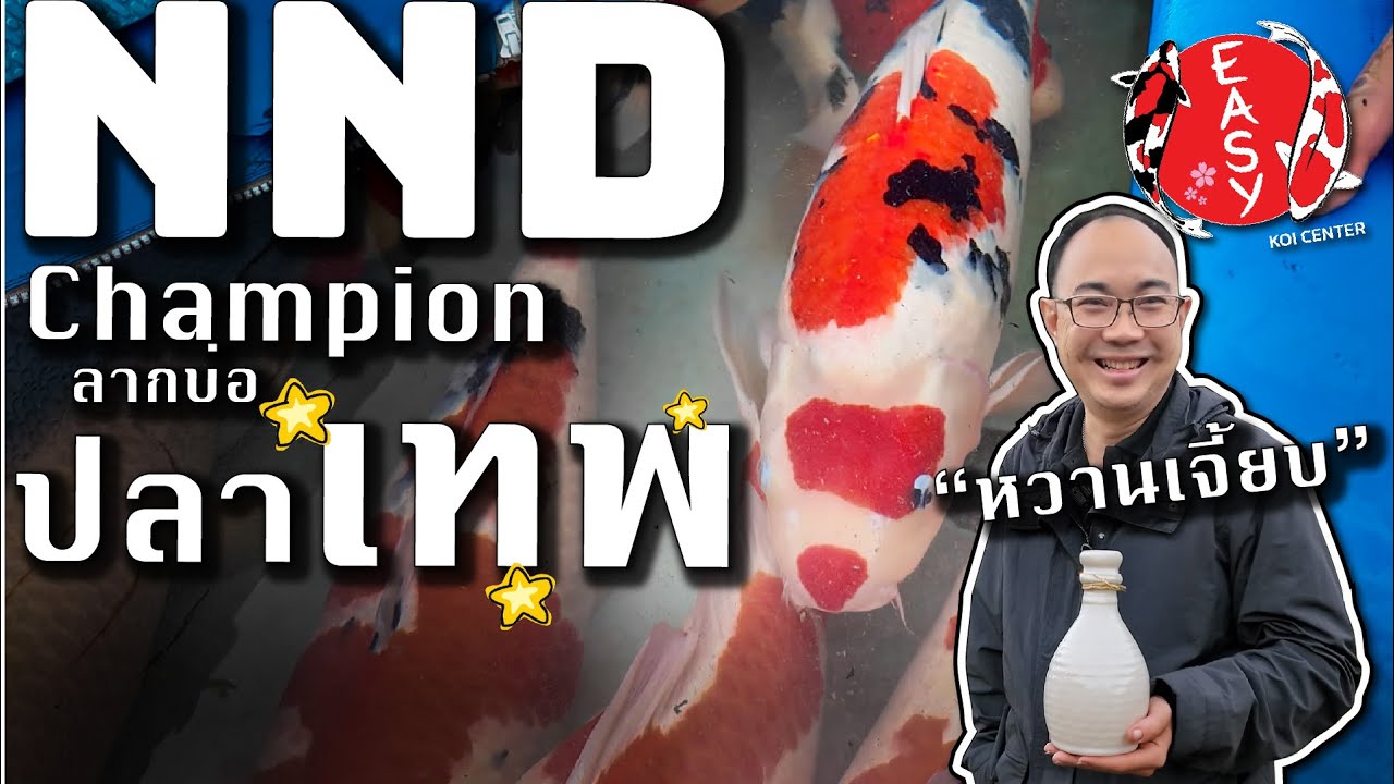 พิธีลับบรีดเดอร์  ⛩️ ทำแล้วผลผลิตเยี่ยม! เคล็ดลับของทีม NND