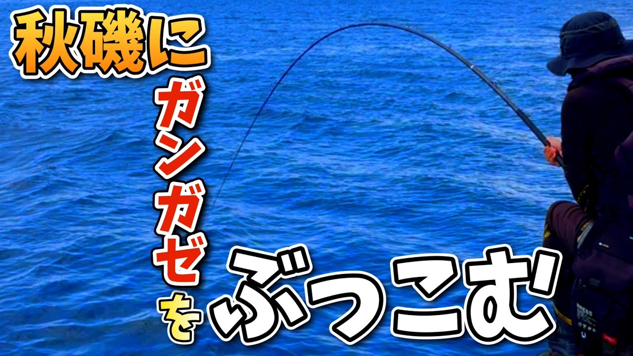 【底物釣り】秋磯にガンガゼをぶっこむと…？