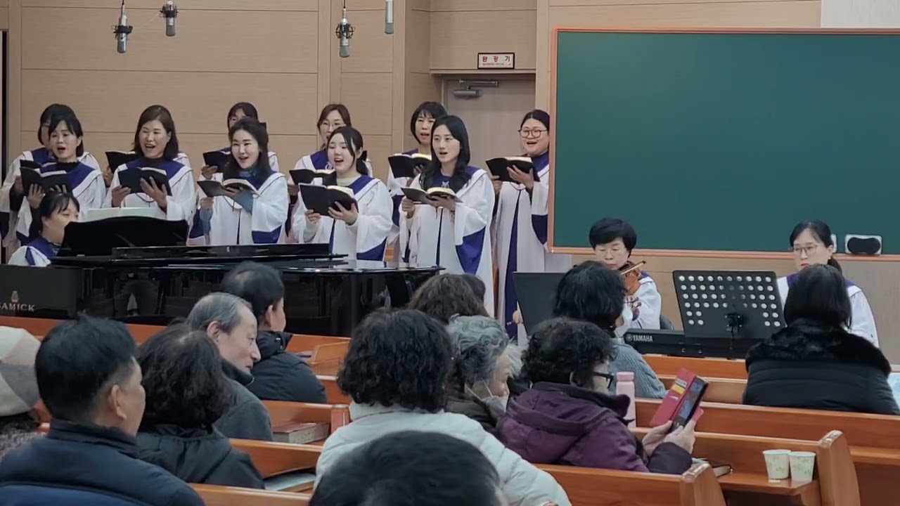 오늘 피었다지는