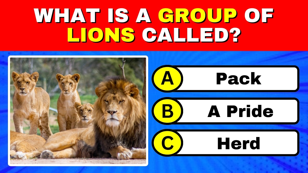 4th Grade Trivia Quiz - How Many Will You Get Right?