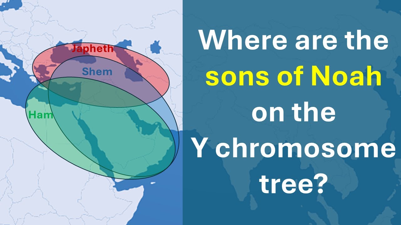 Placing the sons of Noah on the Y chromosome tree