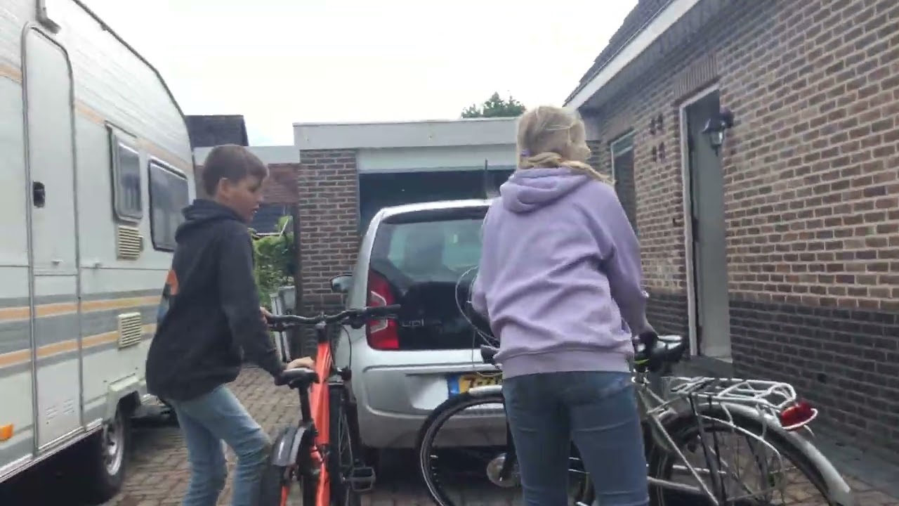 Nadeel van een paardengek als friend