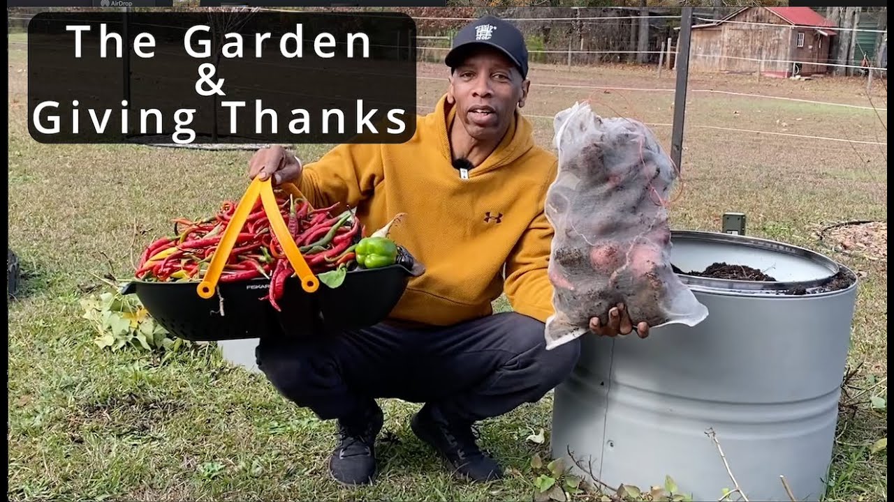 The Garden & Giving Thanks