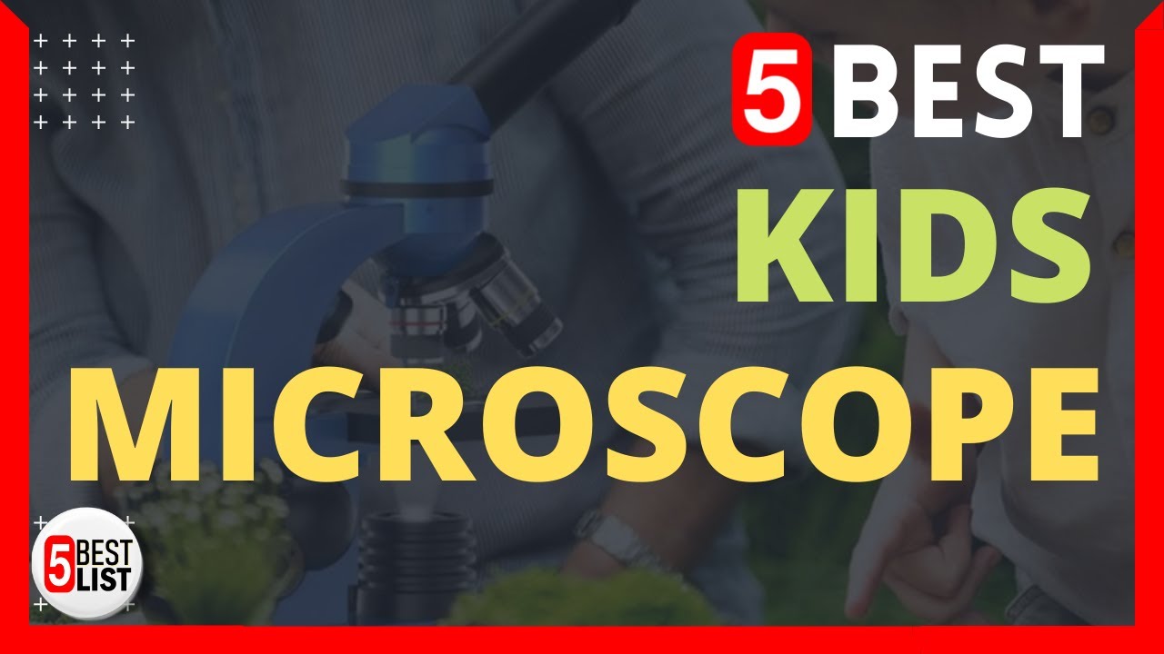 🏆 5 Best Microscope for Kids You Can Buy In 2022