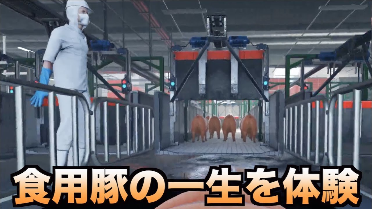 食用豚になって出荷から豚肉になるまでの過程が悲しすぎる件