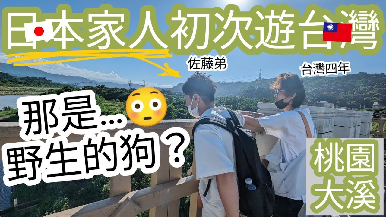 第一次遊台灣，連路邊的狗都有新鮮感🤣佐藤一家初次大溪老街，好多美味小吃~吃不停✨台灣在住的哥哥反而東西買不停w // 兔子加糖 Vlog 大溪遊 //