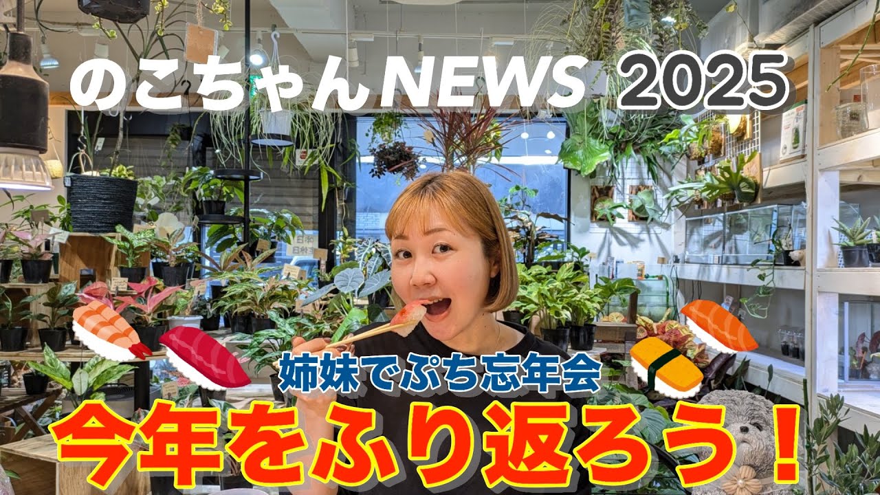 【ぷち忘年会】 のこちゃんNEWS2025、今年をふり返ろう！