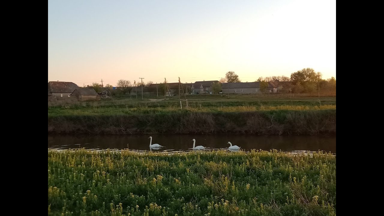Чиста річка