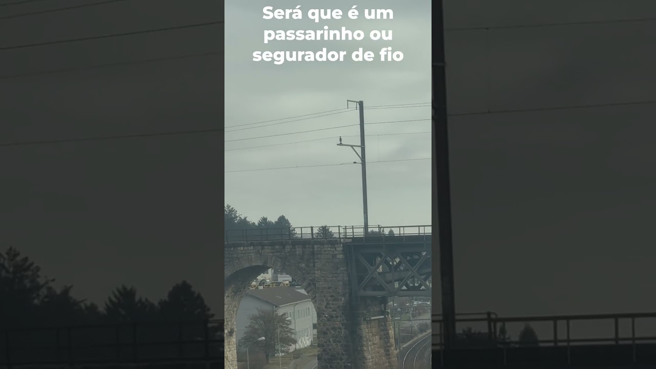 Será que um passarinho ou segurador de fio