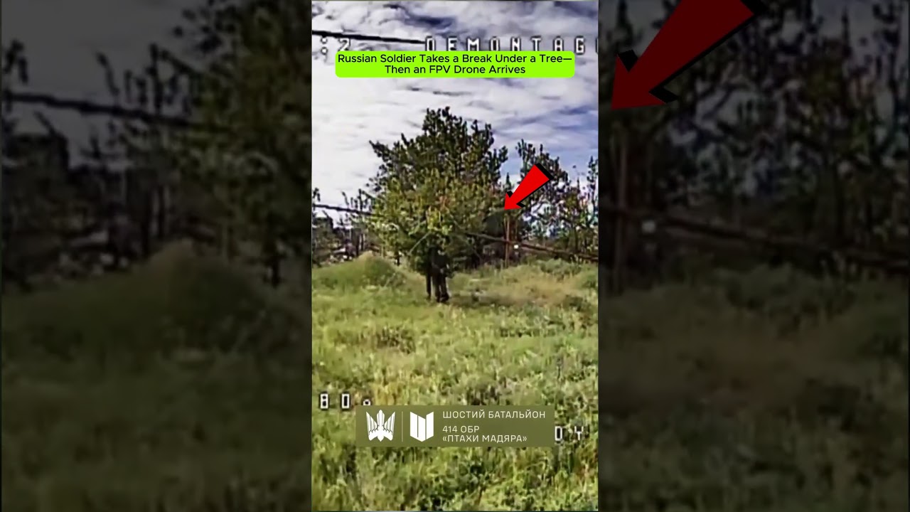 Russian Soldier Takes a Break Under a Tree&mdash;Then an FPV Drone Arrives.